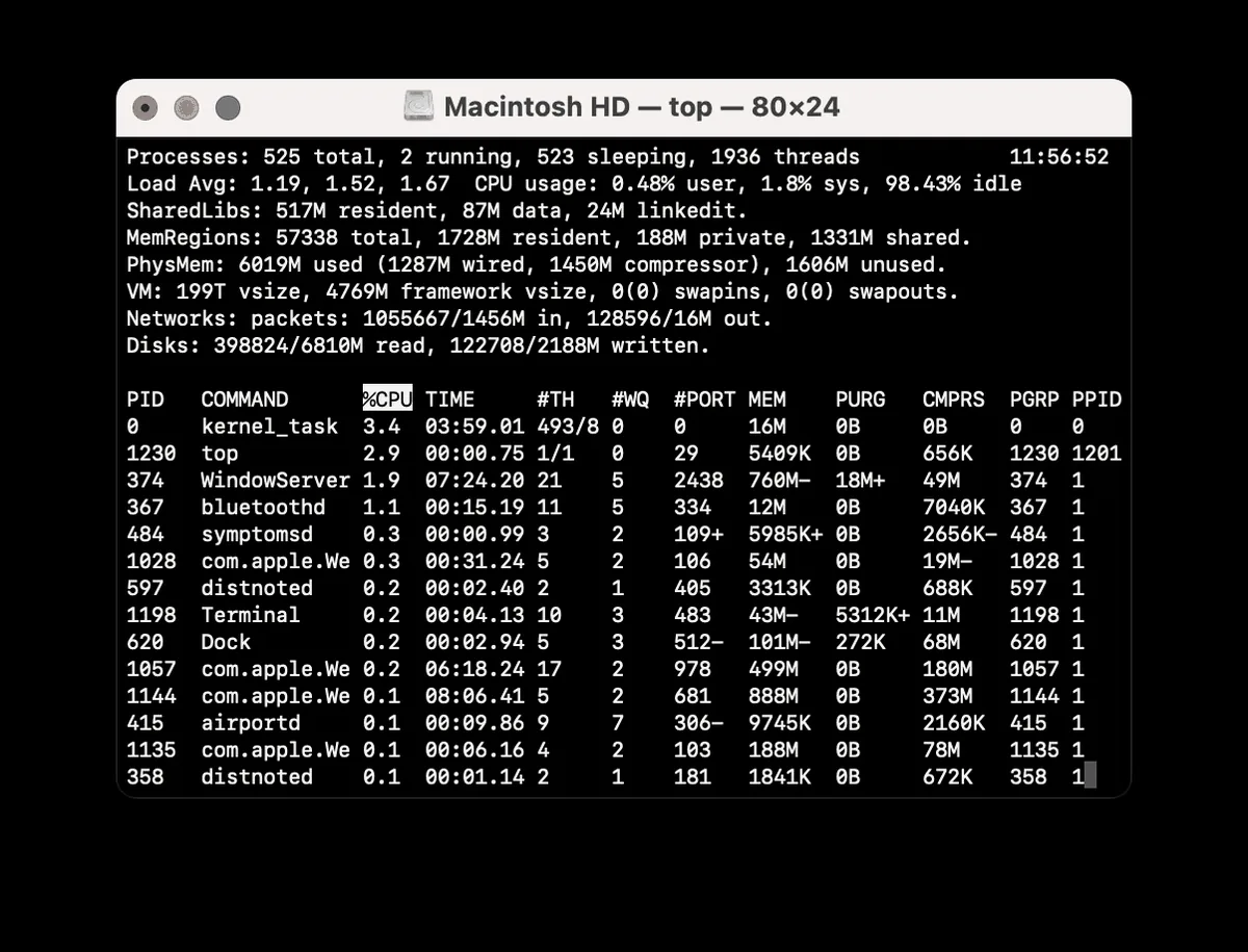 macOS Terminal window running the top command, with a list of processes shown as plain text. No menus or icons; it is all text